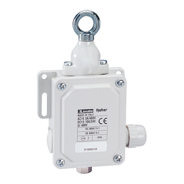 Концевой выключатель P2L101311