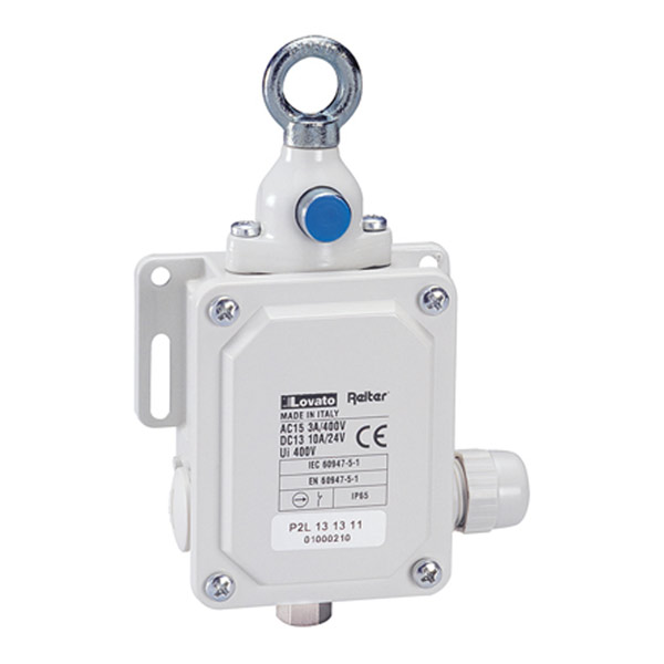 Концевой выключатель P2L151311