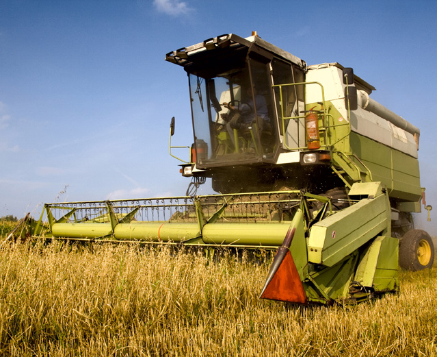 Agriculture