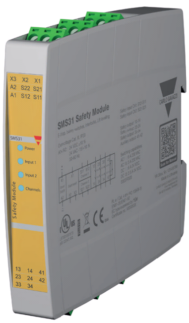 SMS31